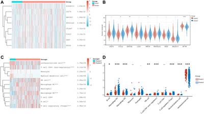 Ferroptosis regulator FANCD2 is associated with immune infiltration and predicts worse prognosis in lung adenocarcinoma